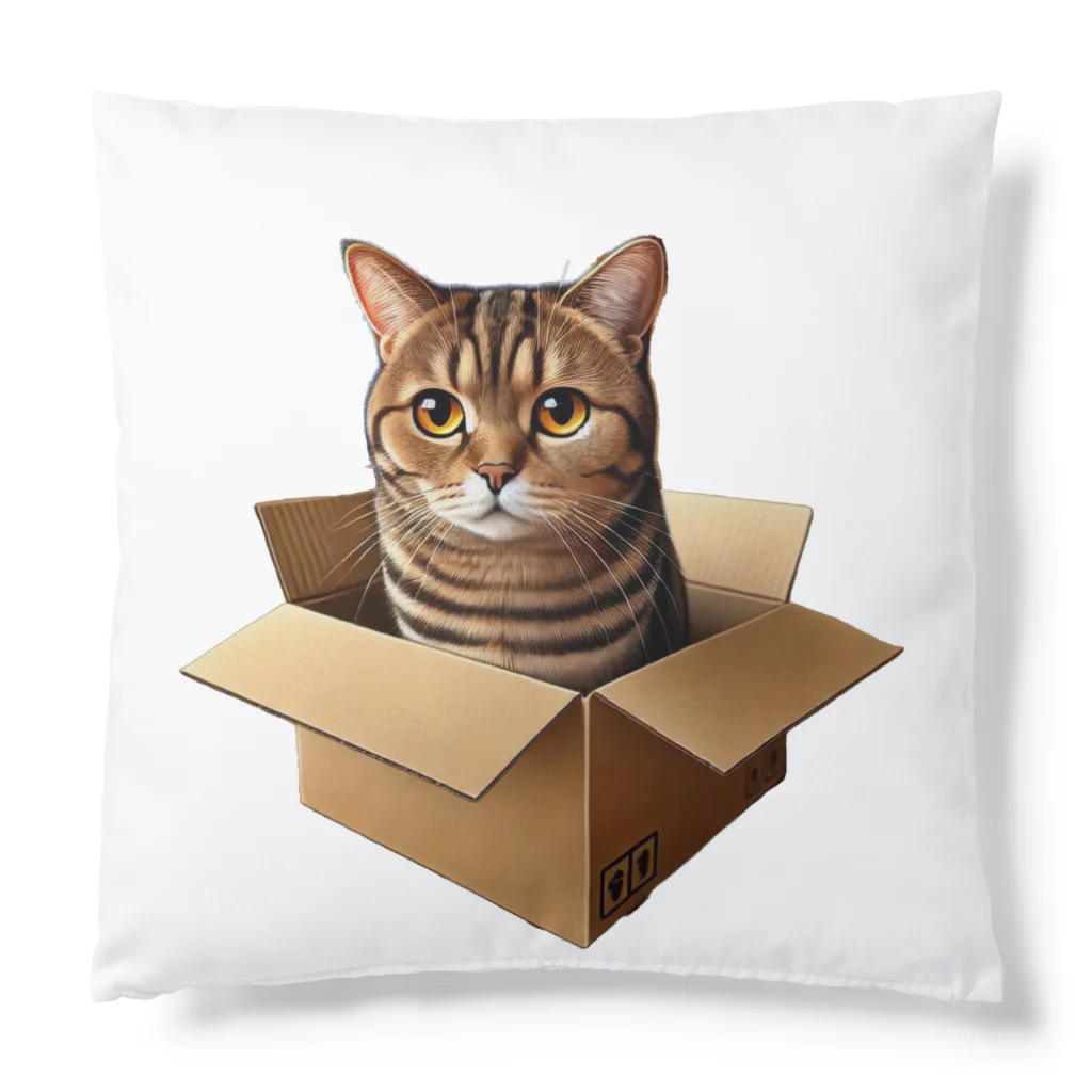 猫の小梅お嬢さんの小梅ちゃん　箱猫 Cushion