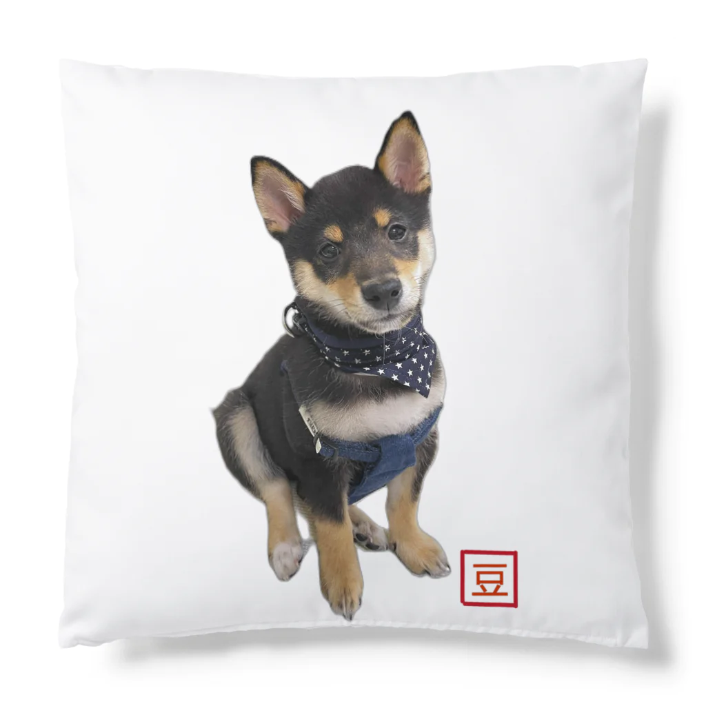 うたた寝の🐾豆柴BOY🐾 世界中で愛される柴犬　1歳 Cushion