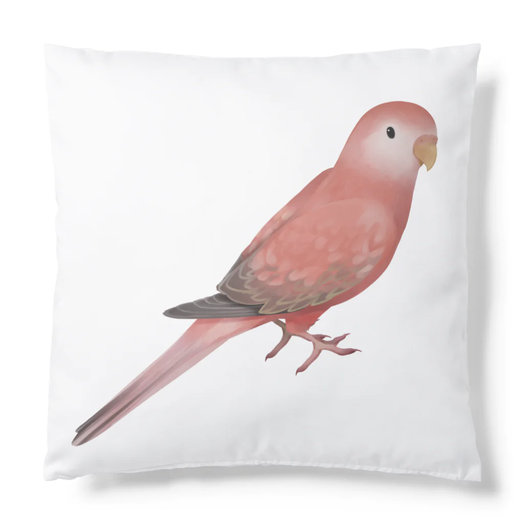 まめるりはことりのアキクサインコ　ピンク【まめるりはことり】 Cushion