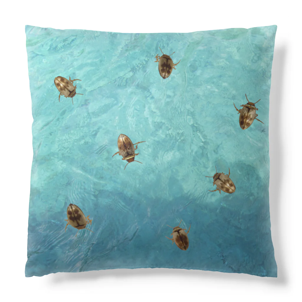 L_arctoaの海を泳ぐチャイロチビゲンゴロウ Cushion