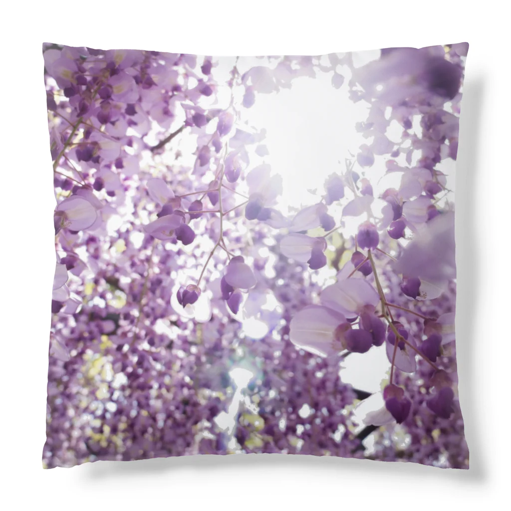 8l0の藤の花　 Cushion