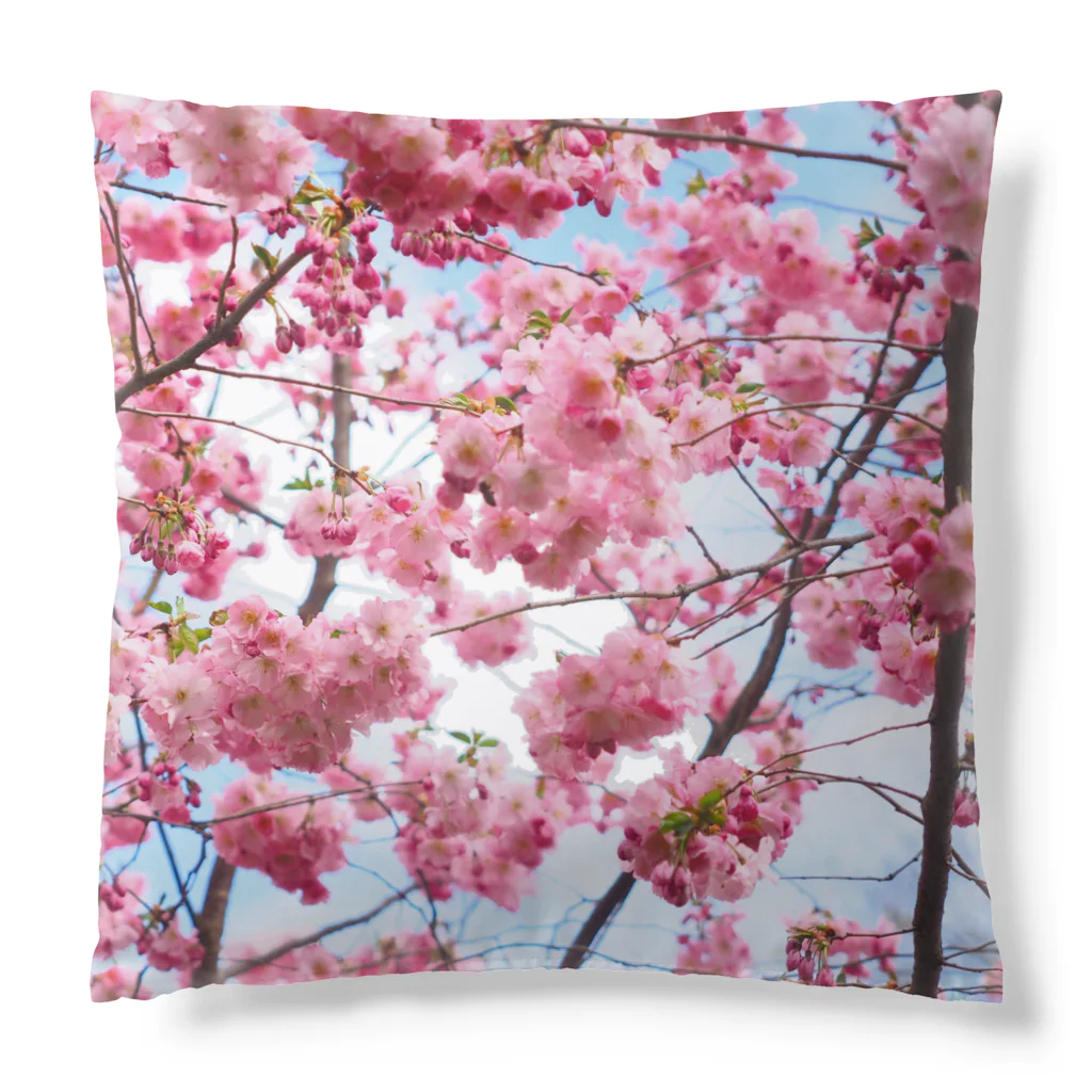 orange_honeyの桜84 Cushion