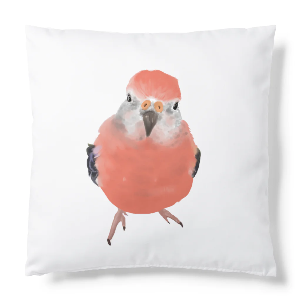 アキクサインコとウロコインコのアキクサインコ Cushion