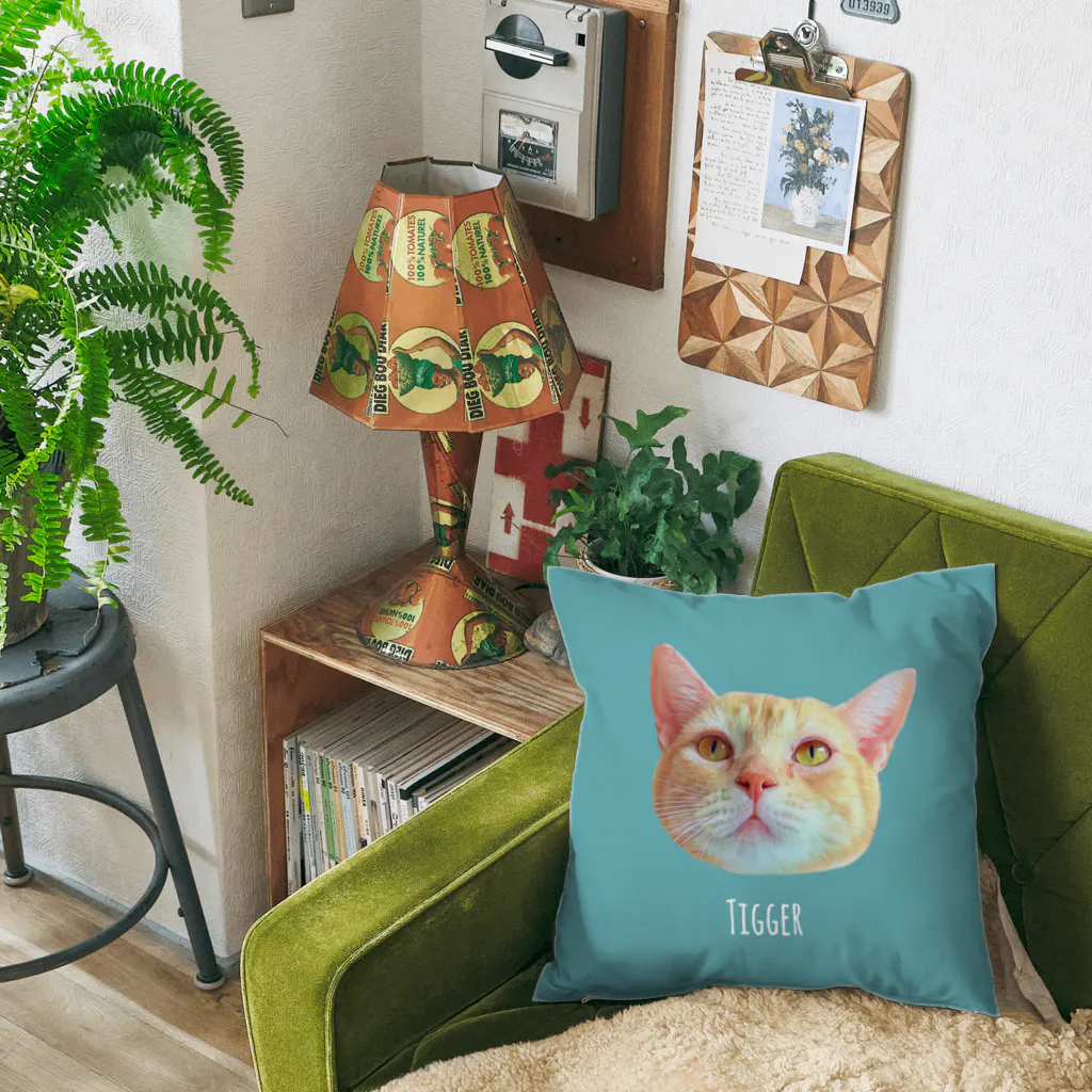 猫カフェラグドール（大阪難波）のちーちー Cushion