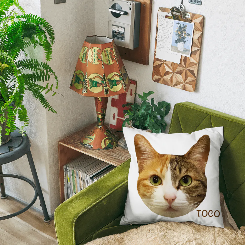 猫カフェ ぶぅたんグッズショップのトコちゃんのお顔 Cushion