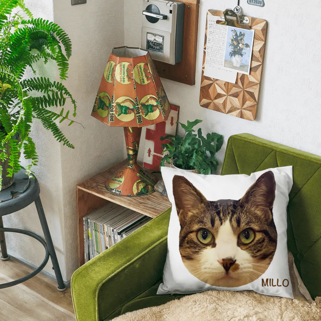 猫カフェ ぶぅたんグッズショップのミロくんのお顔 Cushion