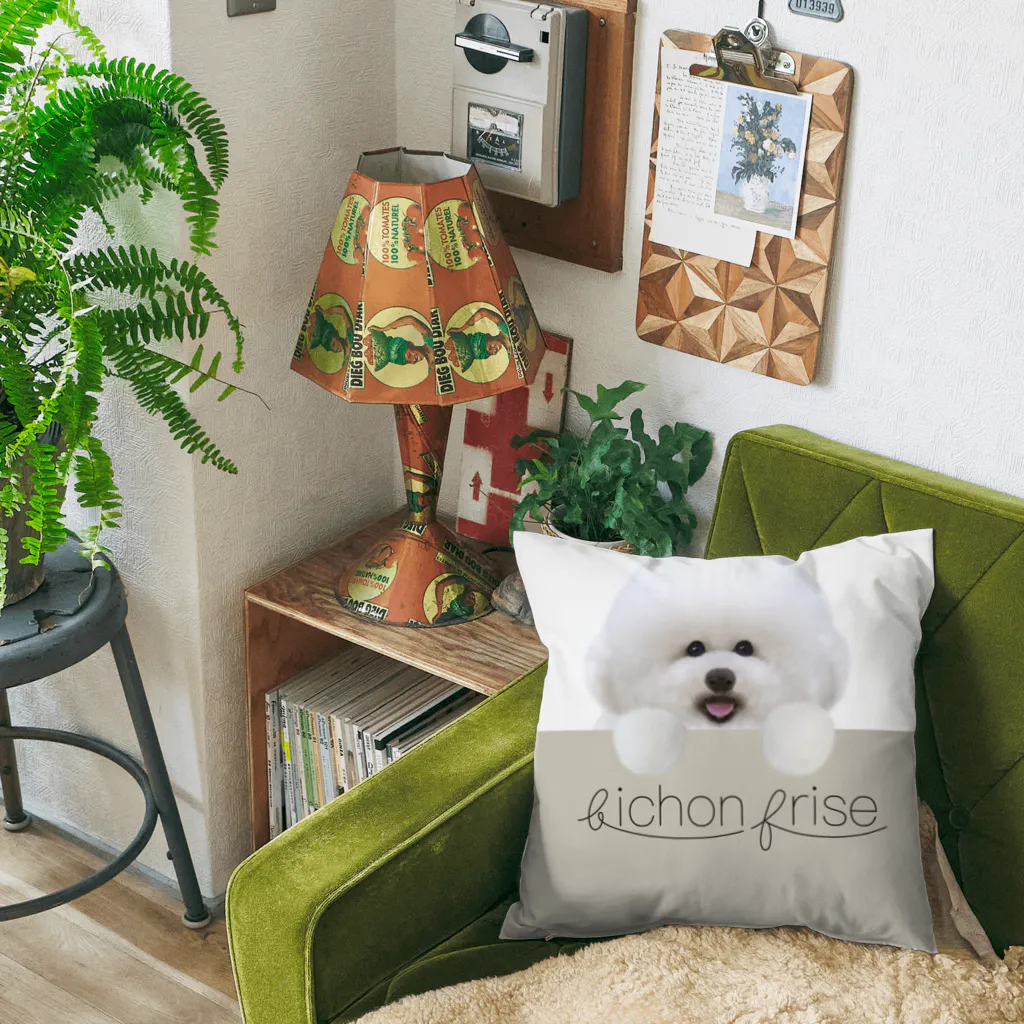 hummingbirdのビションフリーゼ　bichon frise  Cushion