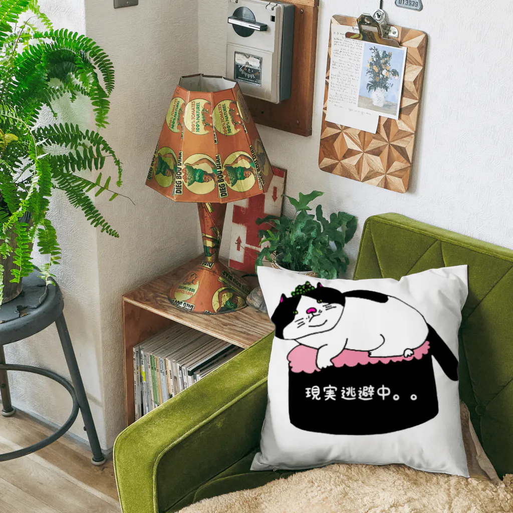 箱入りハチワレ猫　みょんの箱入りネコみょん Cushion