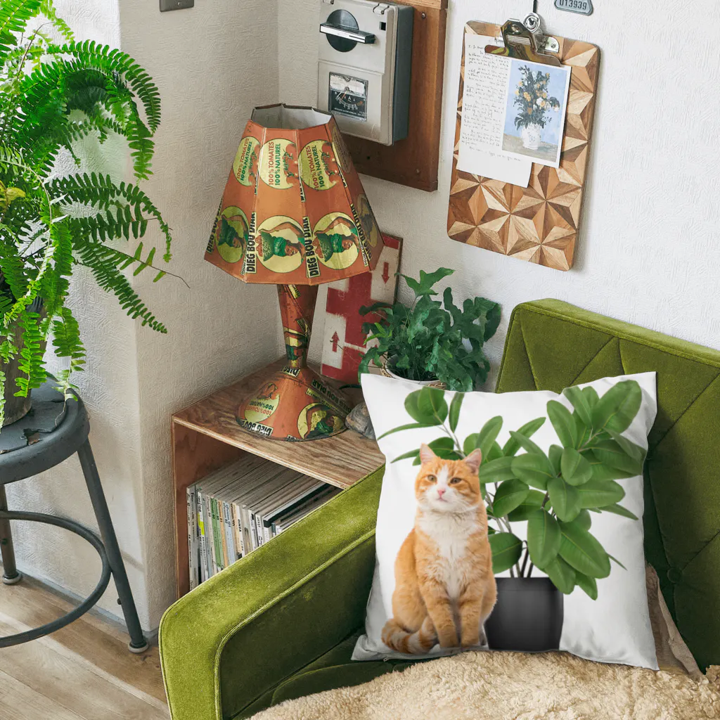 𝙈𝙊𝙈𝙊'𝙨 𝙎𝙝𝙤𝙥の植物とねこ Cushion