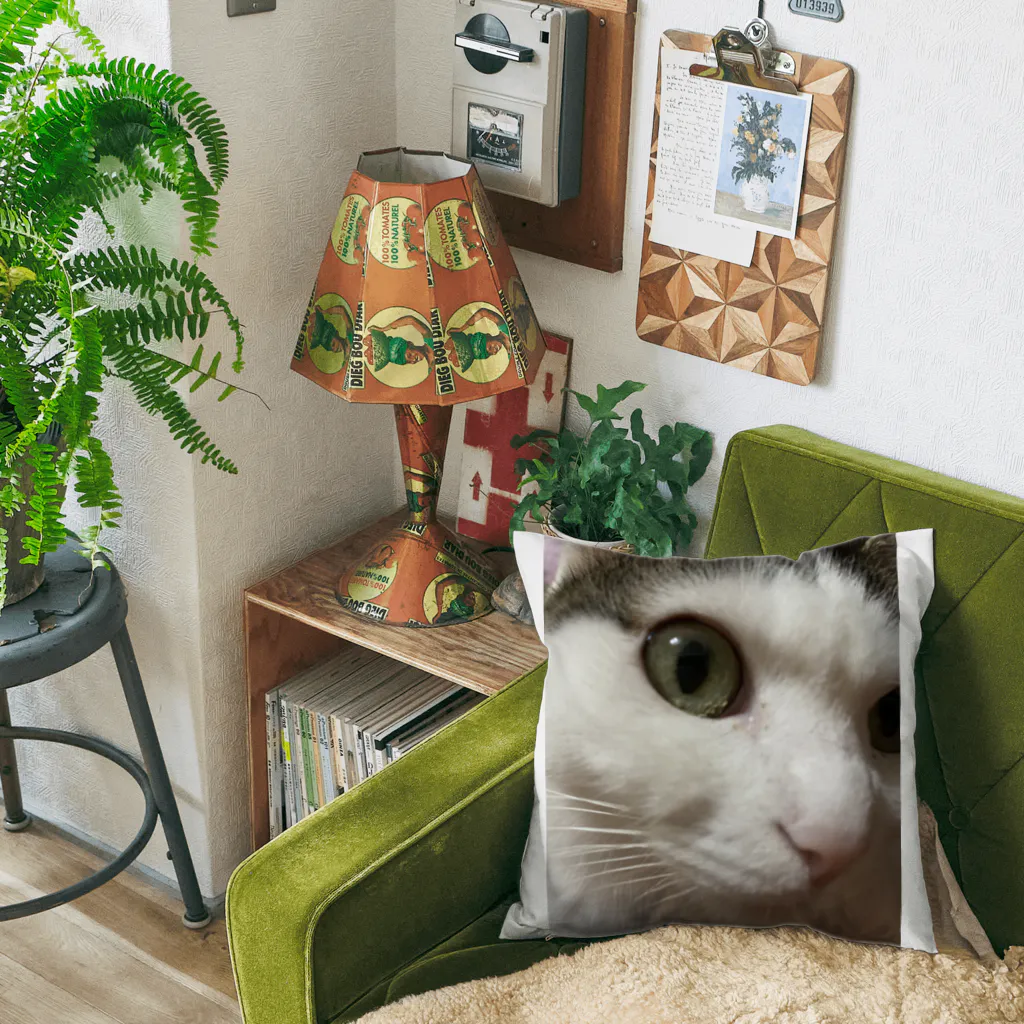 わが家の猫山さん。の猫山さん。はるがきた。 Cushion