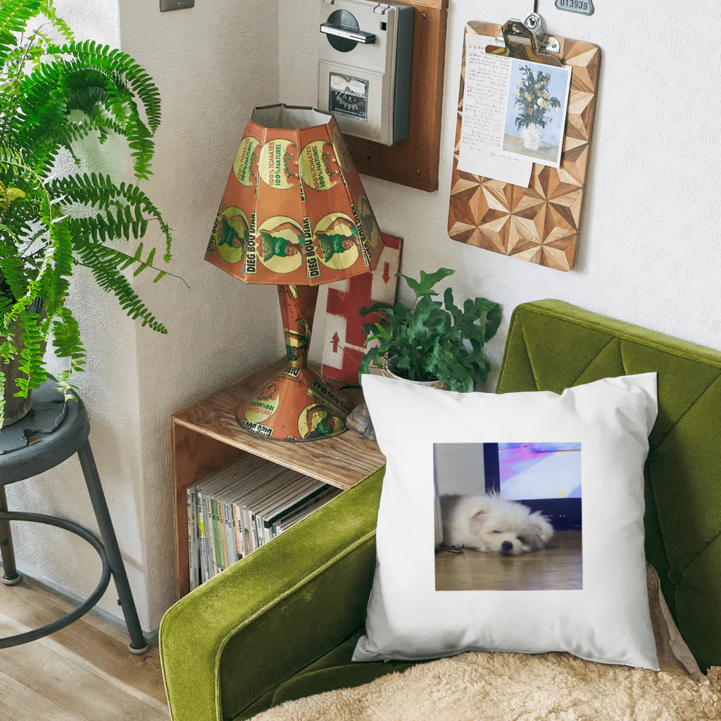 マフィロン同盟のマフィロン　睡眠 Cushion