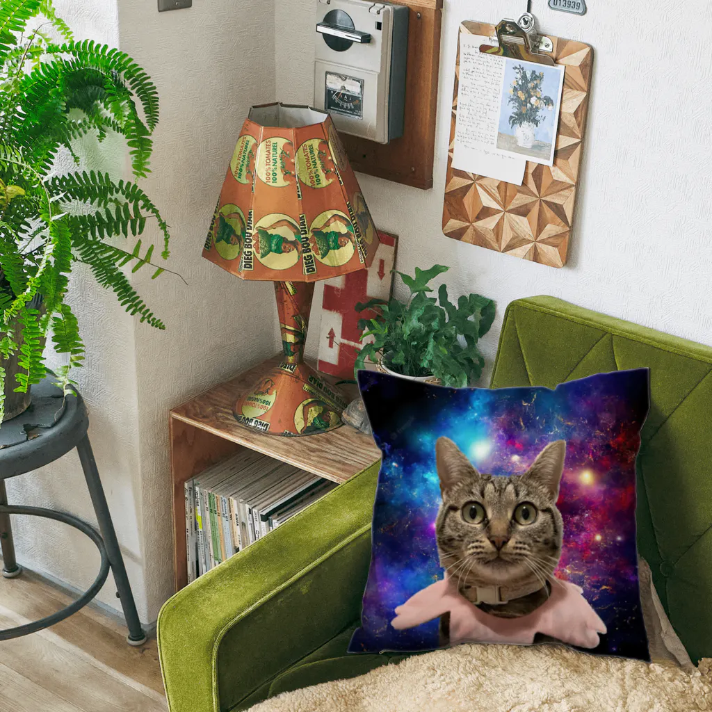 ふぇっとのスペースうちの猫 Cushion