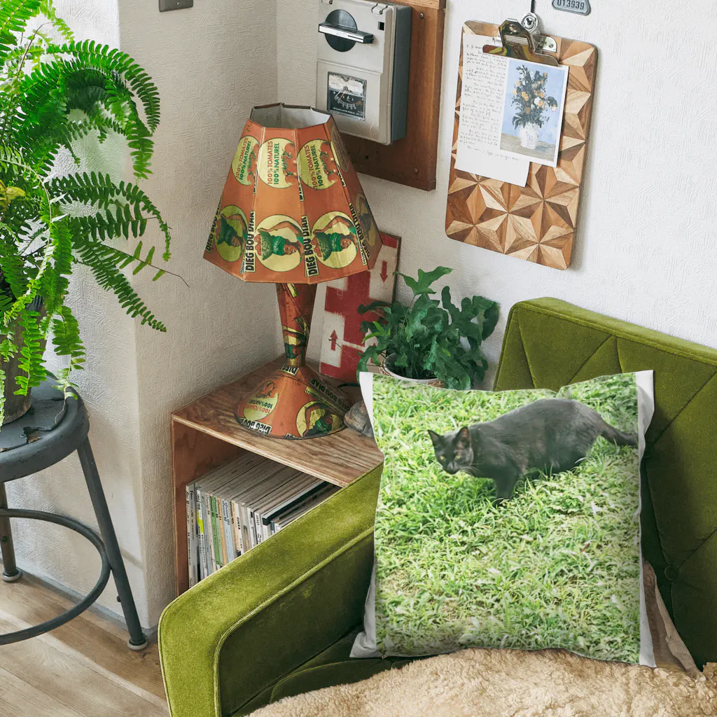 天光のねこ部屋の黒猫カカオの庭 Cushion