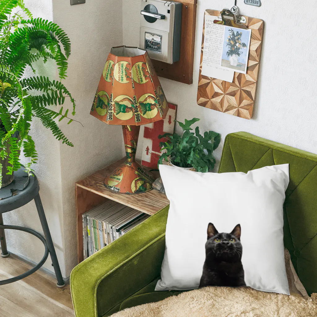 ８９６の黒猫 Cushion