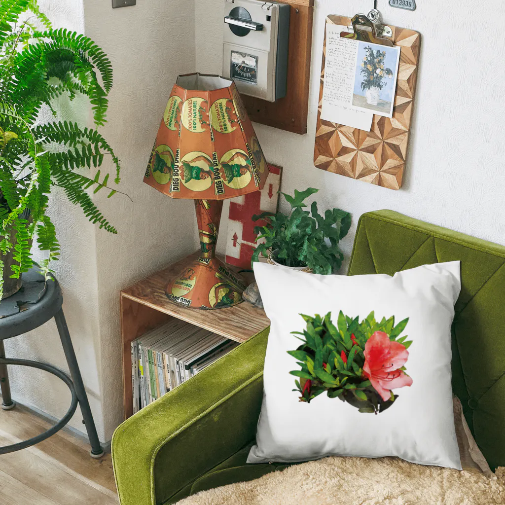 植物の絵師「洋子」の店のビビッドな「サツキ」の花 Cushion