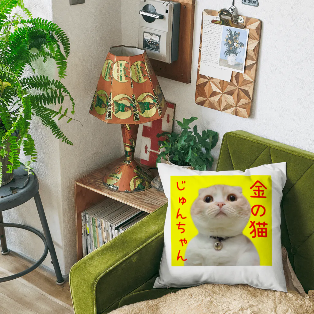 犬と猫の親バカ日記【公式グッズ】のクッション じゅんちゃん Cushion