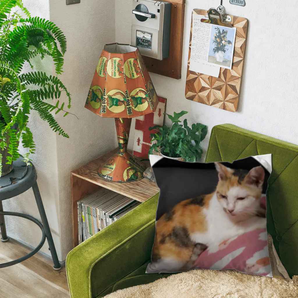 夢想風舞の三毛猫の❄ Cushion