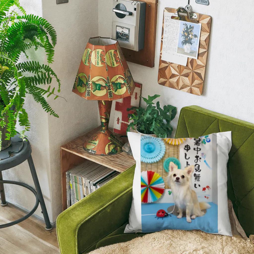 kutachanelのロングコートチワワのクウ太 Cushion