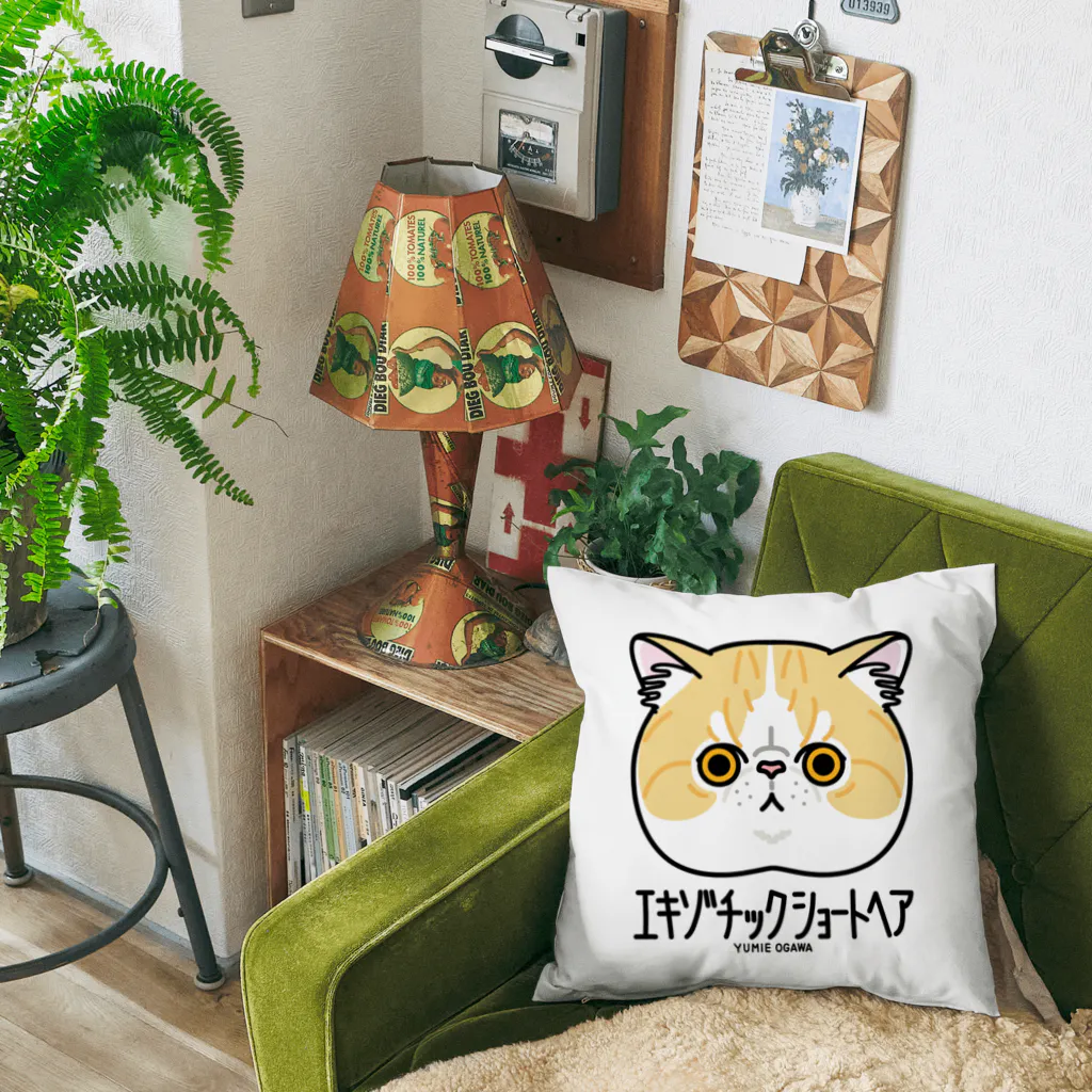 オガワユミエの33エキゾチックショートヘア（キャラ） Cushion