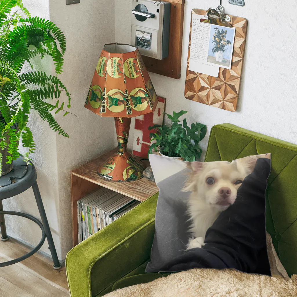 あめWAかわいいのぐいぐいくるあめ Cushion