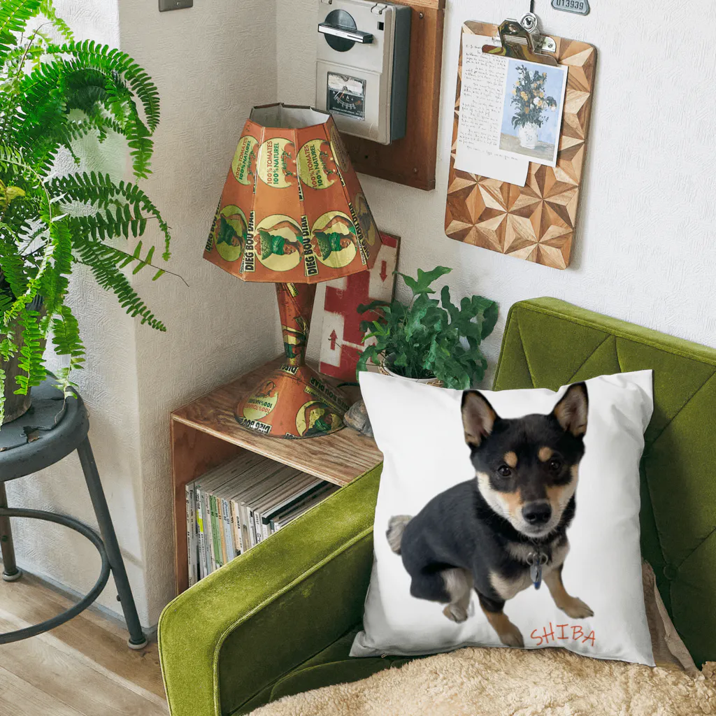 うたた寝の🐾豆柴BOY🐾 世界中で愛される柴犬　1歳 Cushion