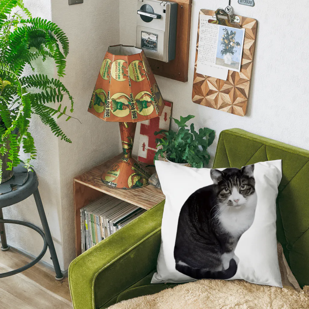 D・K　Design.saitama　ディーケーデザインさいたまのなあや Cushion
