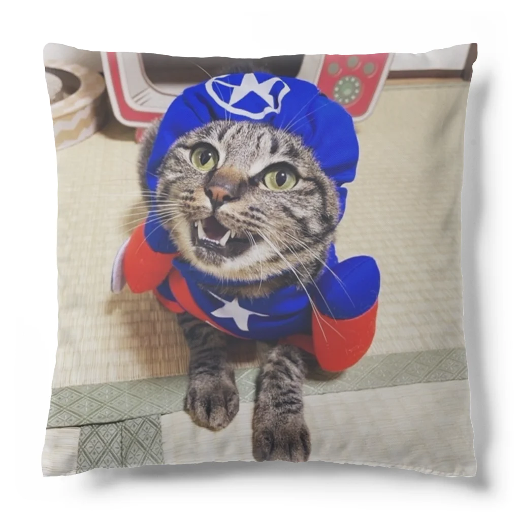 れいたのかろっしょん Cushion