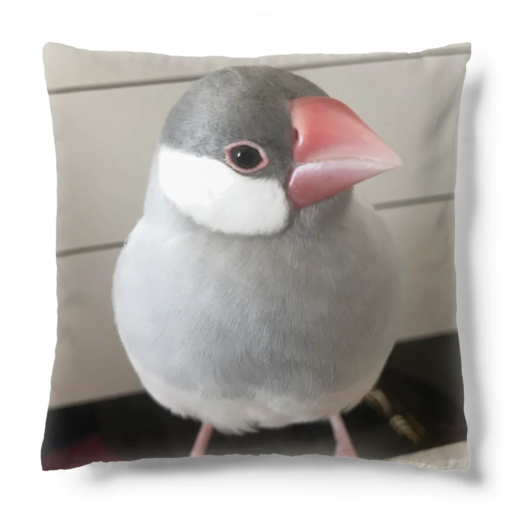 みありんの文鳥のびたろう-おすまし クッション