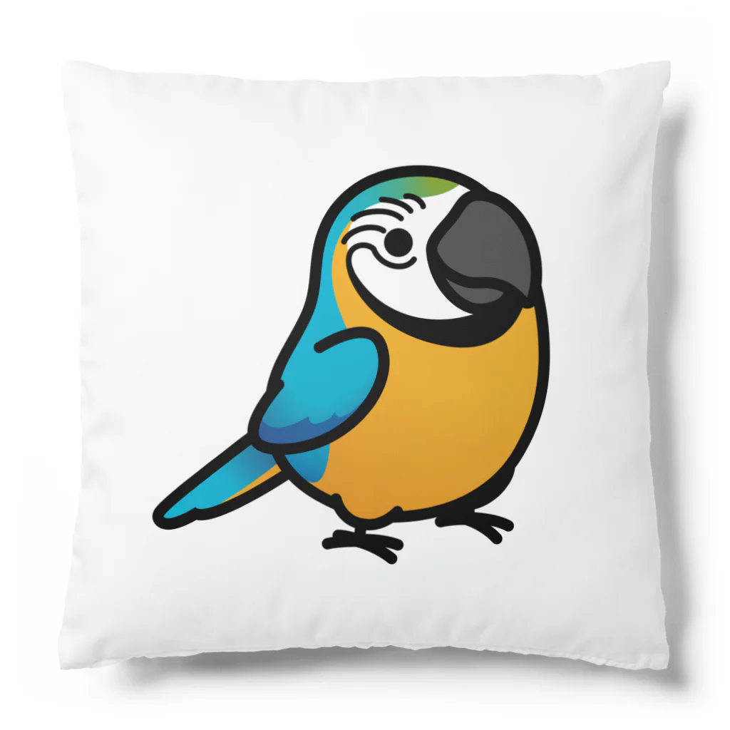 Cody the Lovebirdの（両面）コンゴウインコ　Chubby Bird Cushion