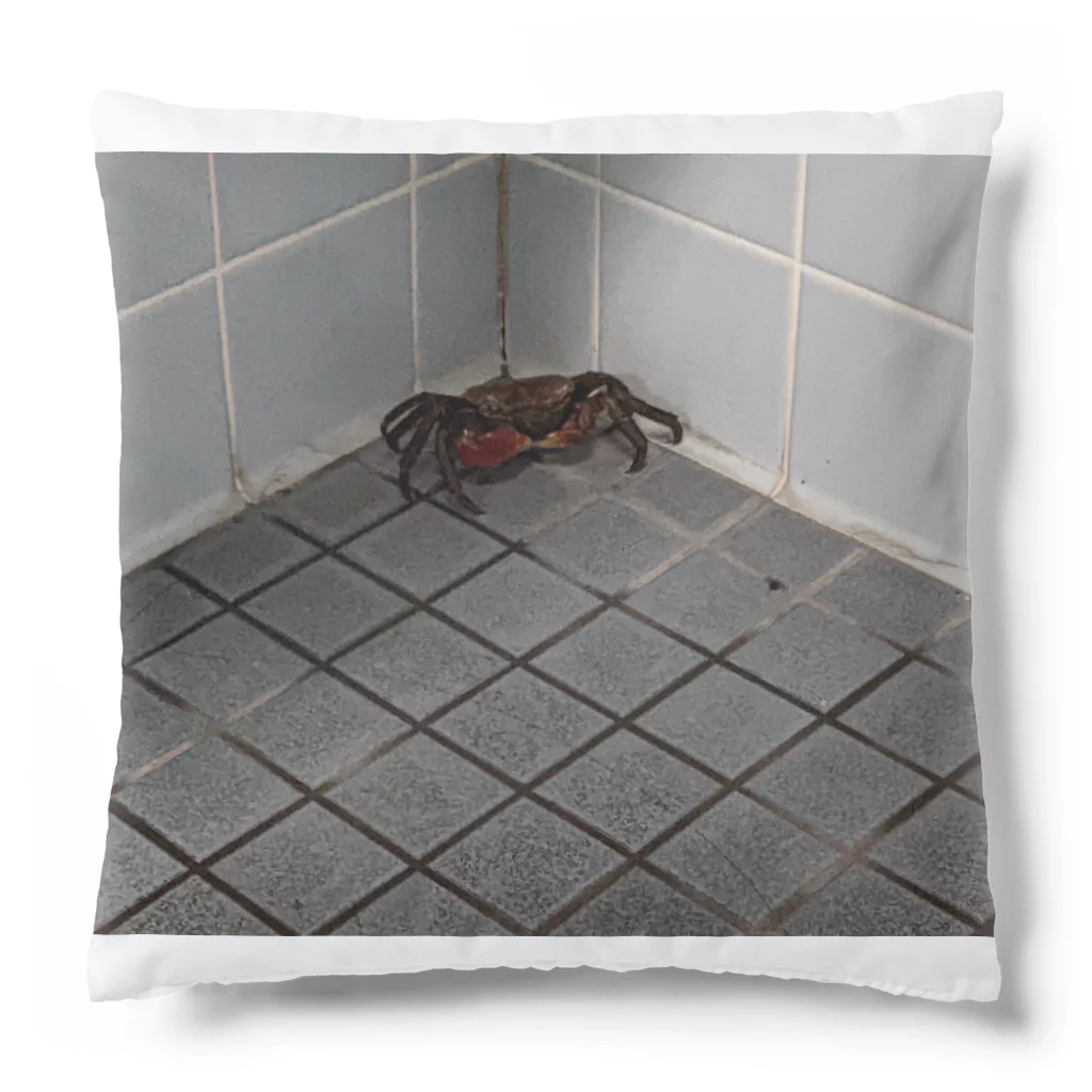 what manのCrab Cushion