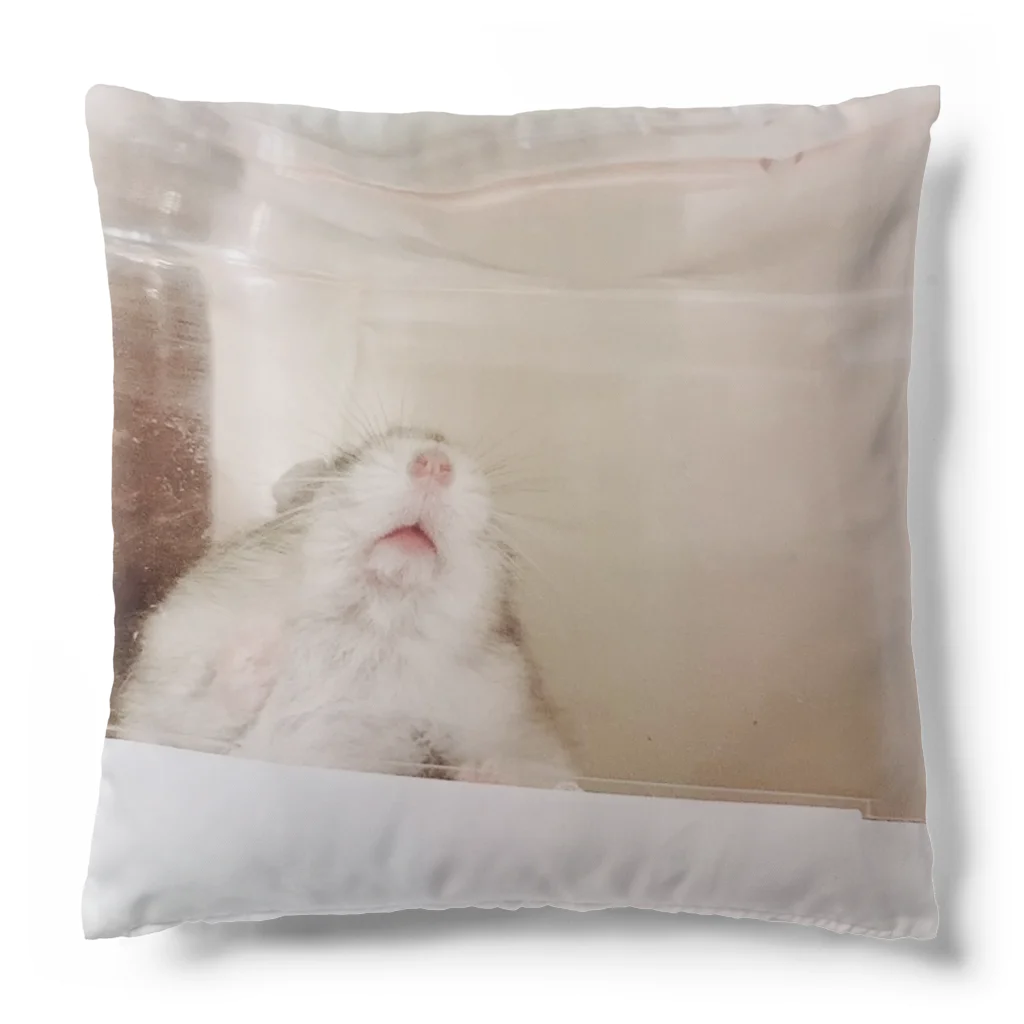 imodolmame_shopの鼻と口がかわいいハムスター(imo2) Cushion