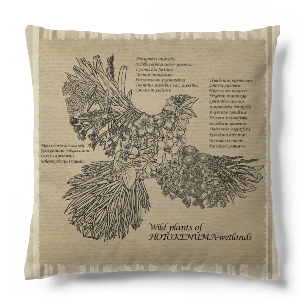 雁花工房（寄付アイテム販売中です）のWild plants of HOTOKENUMA-wetlands（黒線+白線） Cushion