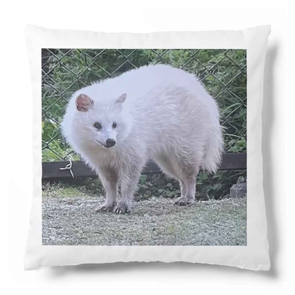 DandyのDandy-White.Raccoon dog Cushion