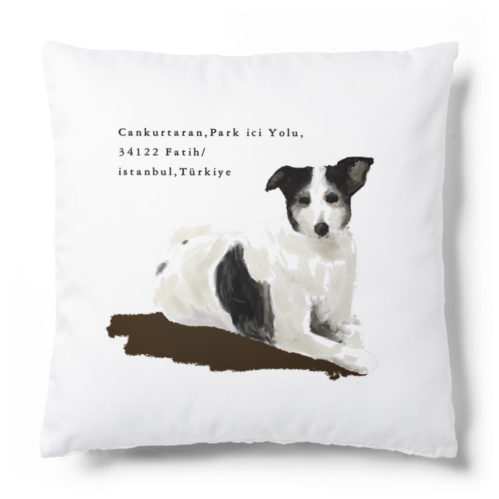 e r i k u r i nのトルコの野良犬さん（スルタンアフメト・モスク） Cushion
