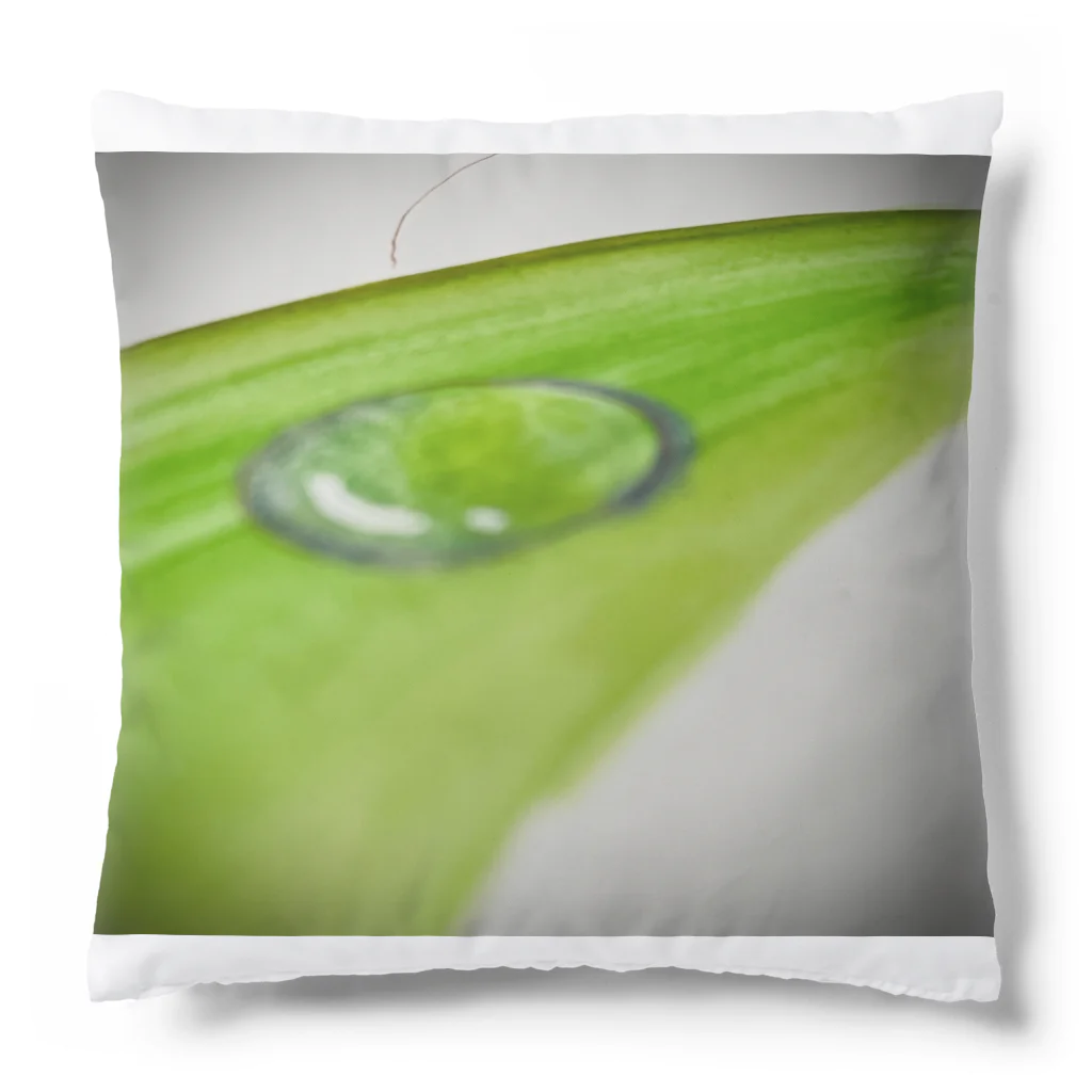 shop 楽輝のwaterdrop Cushion