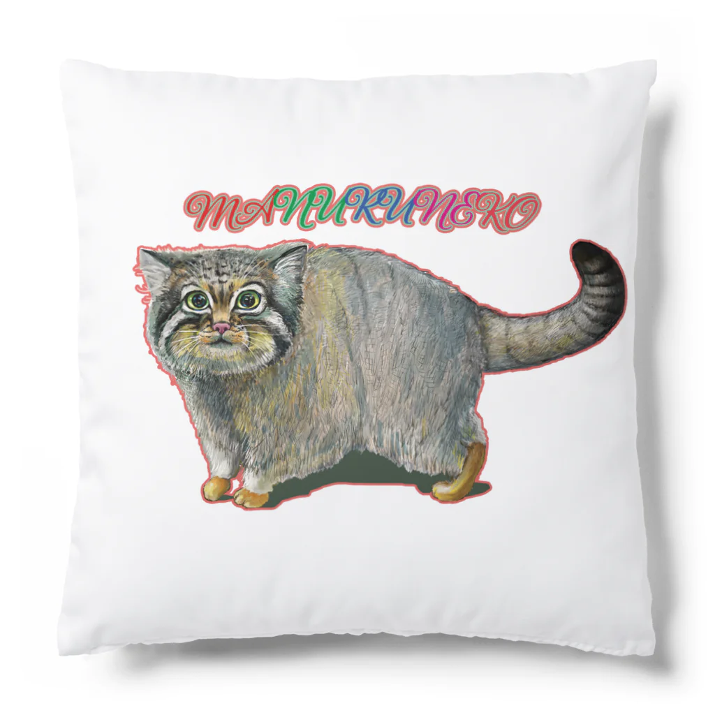 油絵描きの小物売り場のマヌルネコちゃん　グッズ Cushion