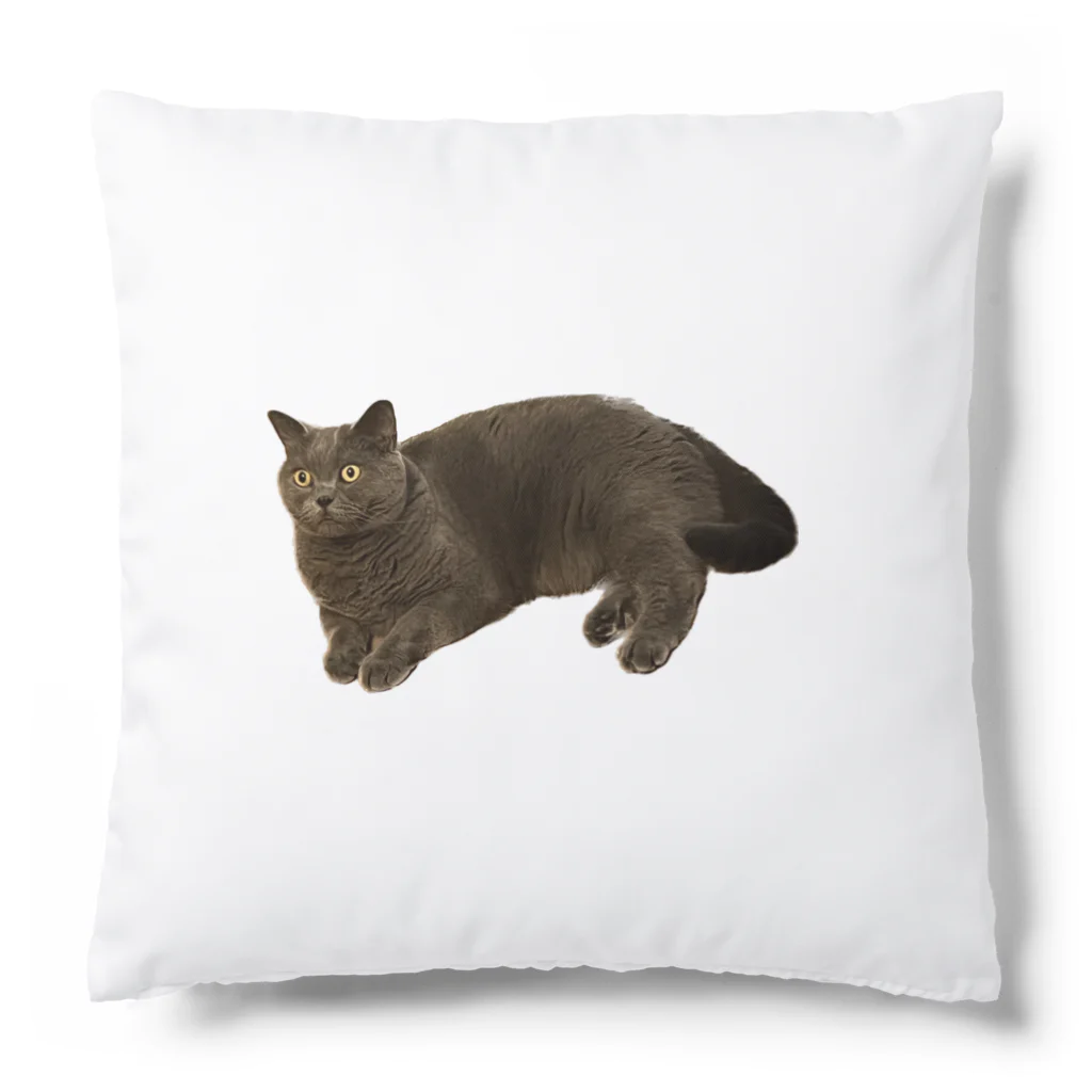 rice_avenueの猫のルパンくん Cushion