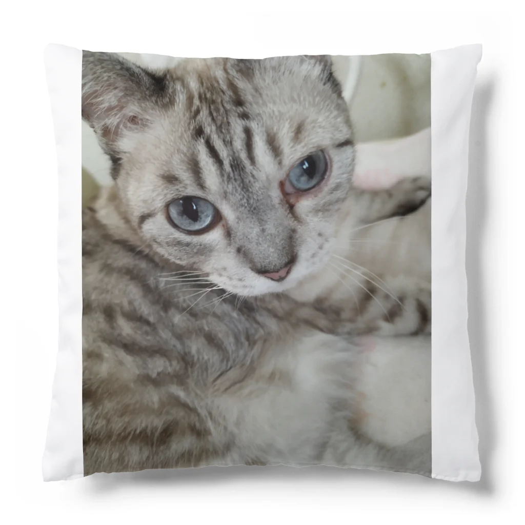 ねこの森でお散歩のフッワフワのシャムミックス Cushion