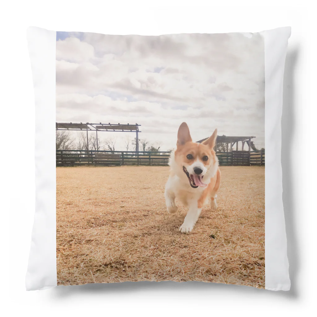 脚長コーギーの脚長コーギーむぎくん Cushion