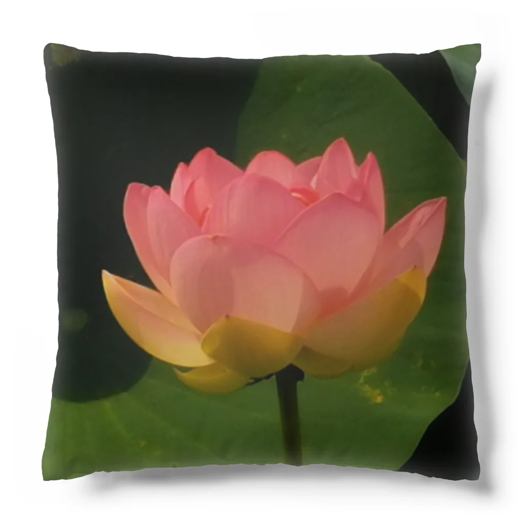 ＲＡＢＩＭＩＷの蓮の花 Cushion