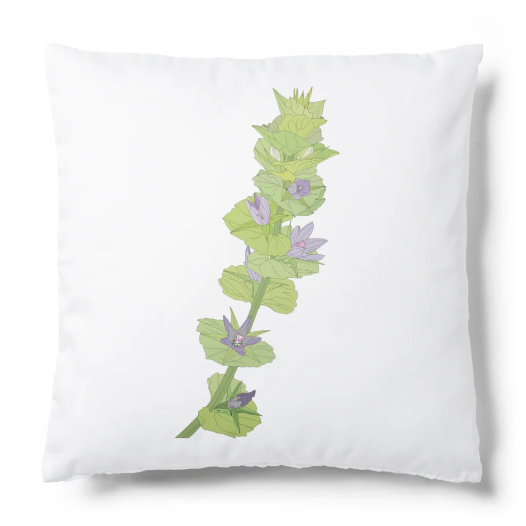 植物の絵師「洋子」の店の春の雑草「桔梗草」 Cushion