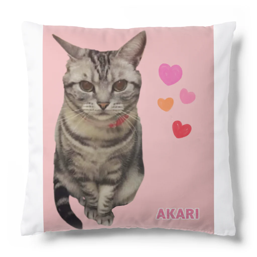 harupink🌸ペット似顔絵illustのアメショのアカリちゃん(REALver) Cushion