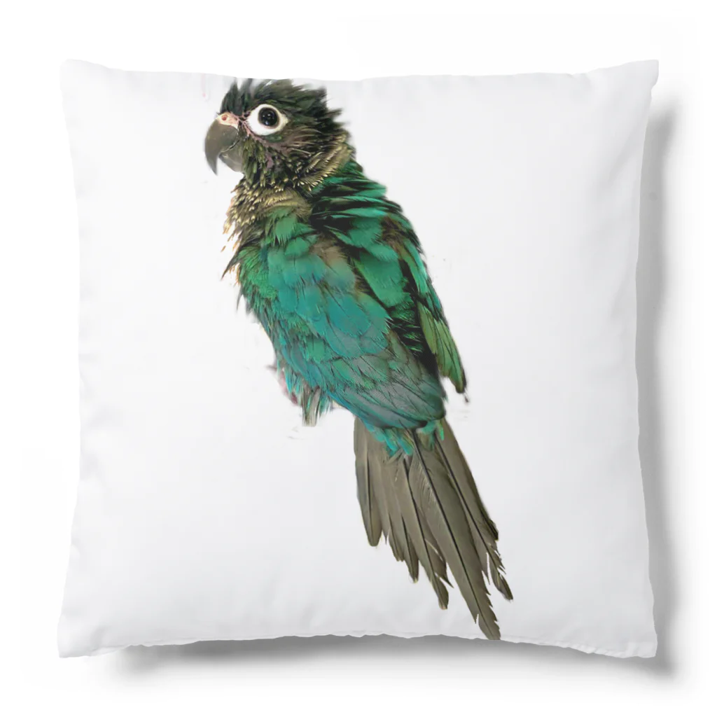 ウロコインコの翠のグッズショップのウロコインコの翠【水浴び後ver】 Cushion