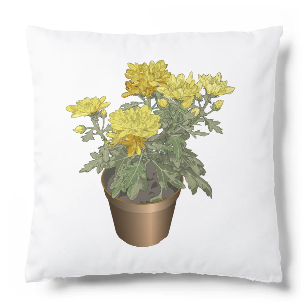 植物の絵師「洋子」の店の鉢植えの菊 Cushion