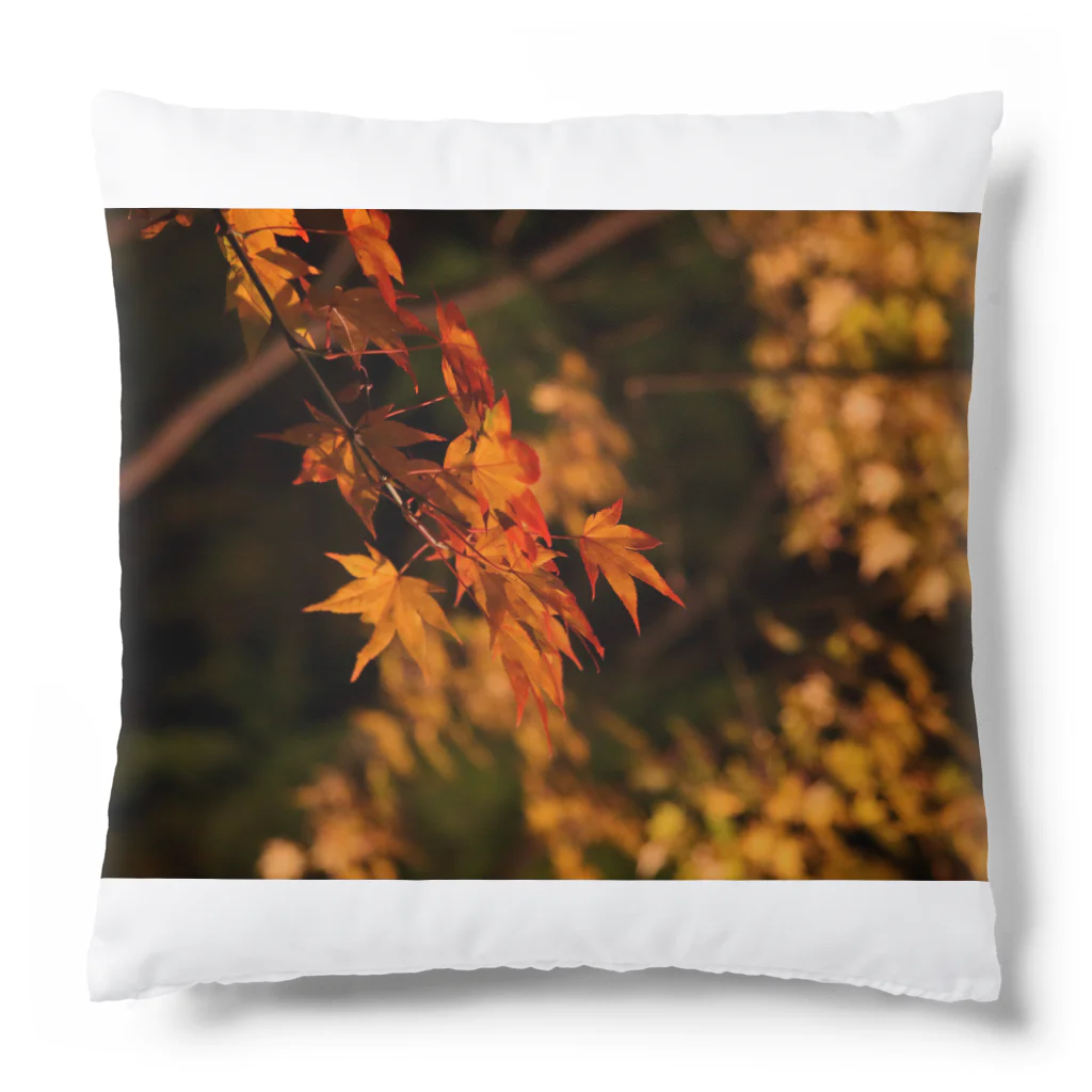 nokkccaのライトアップ紅葉 - Japanese maple(night shot) - Cushion