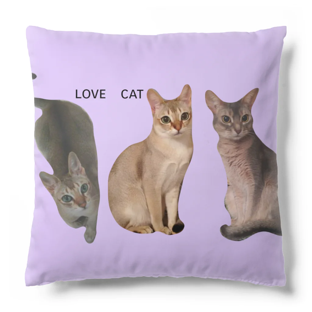 harupink🌸ペット似顔絵illustのLOVE  CAT シンガプーラ&アビシニアン Cushion