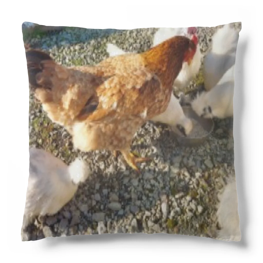 ウズうこハウスのみんな仲良く？ Cushion