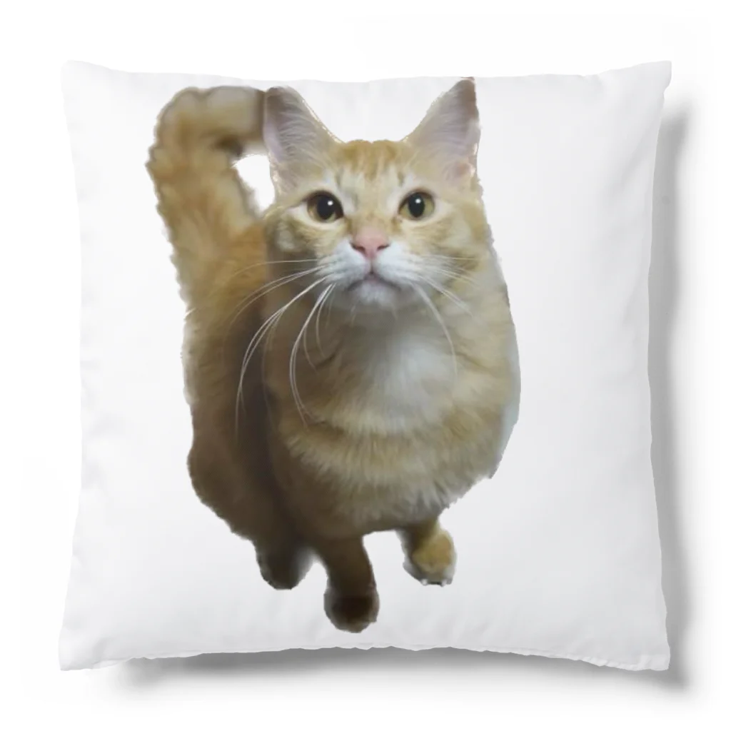 トロールショップの我が家のお猫様が見てます(笑) Cushion