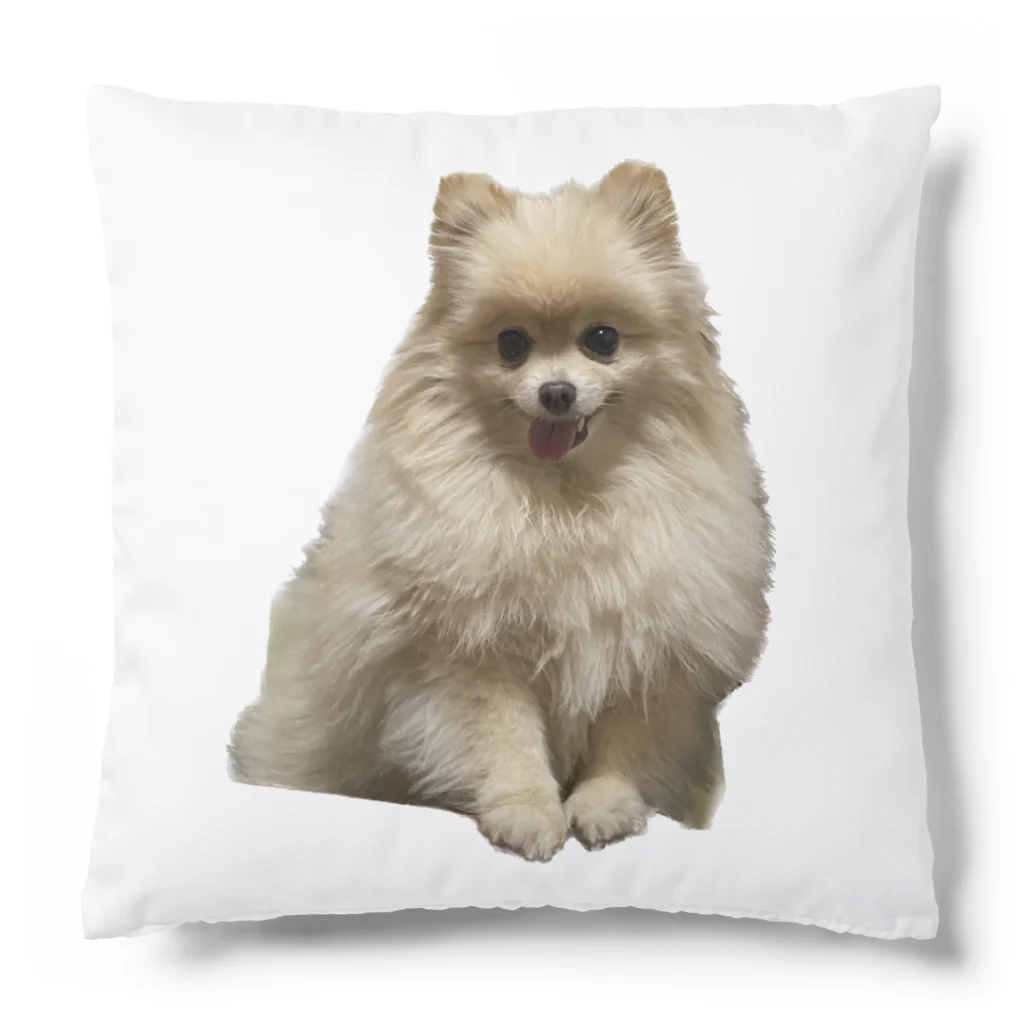 mocchimochiyazoの玉 Cushion