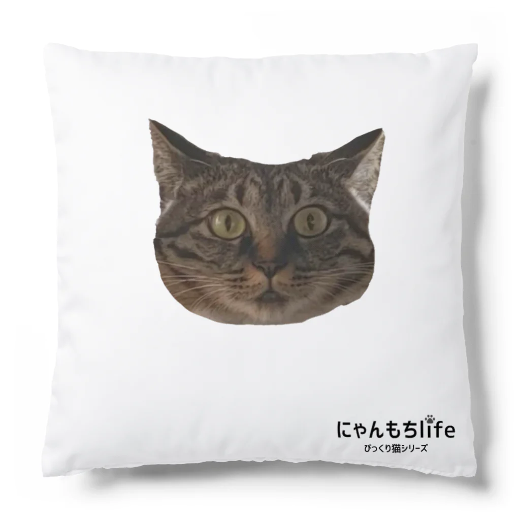 nyanmochi_lifeのびっくり猫シリーズ② Cushion